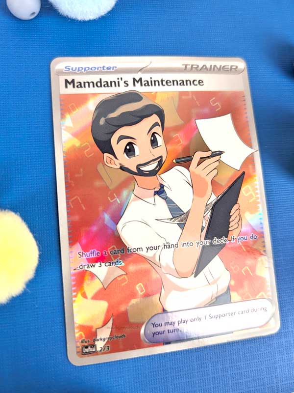 Mamdani Proxy Cards